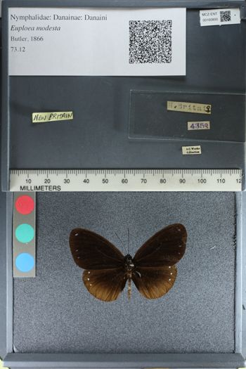 Media type: image;   Entomology 160800